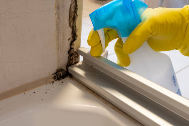 Best Mold Remediation for Specific Building Types in Mounds, OK